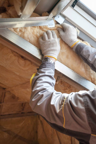 Professional Insulation Contractor in MT